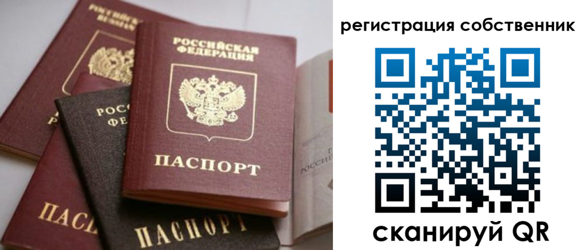 временная регистрация поиск в Лузе